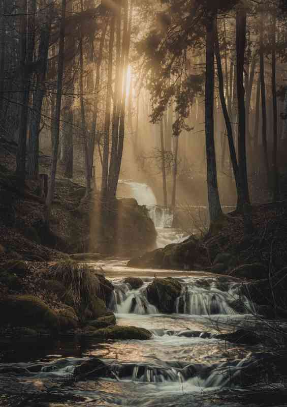 The forest scene with cascading flowing river