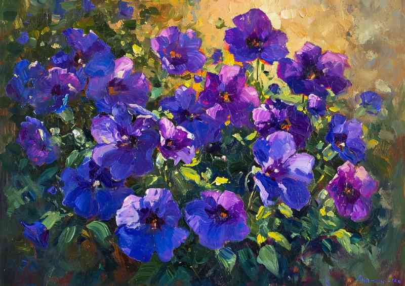 Purple flowers in the sunlight
