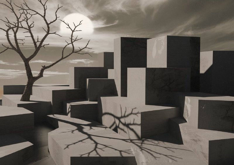 Landscape photo of a barren tree with blocks