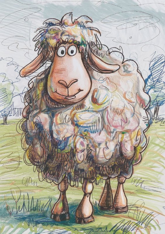 Colour graphite pencil drawing of a happy shaggy sheep