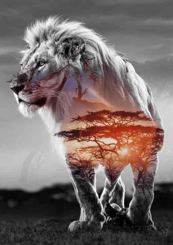 King of the jungle lion double exposure