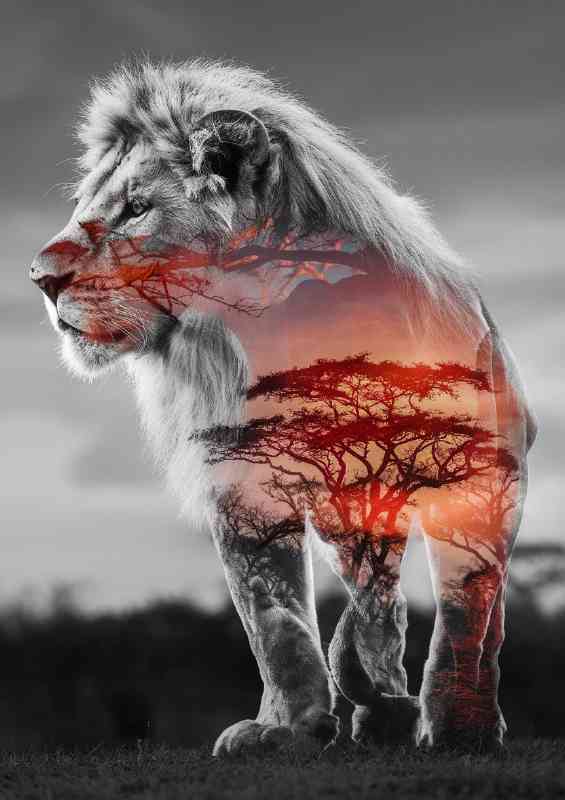 Majestic double exposure of a lion