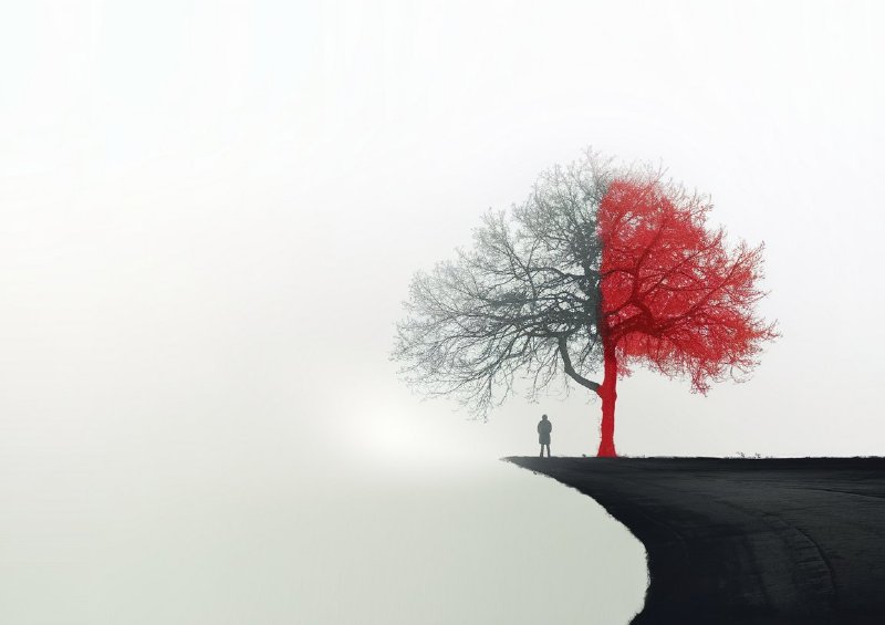 Lonley red tree on the cliff edge