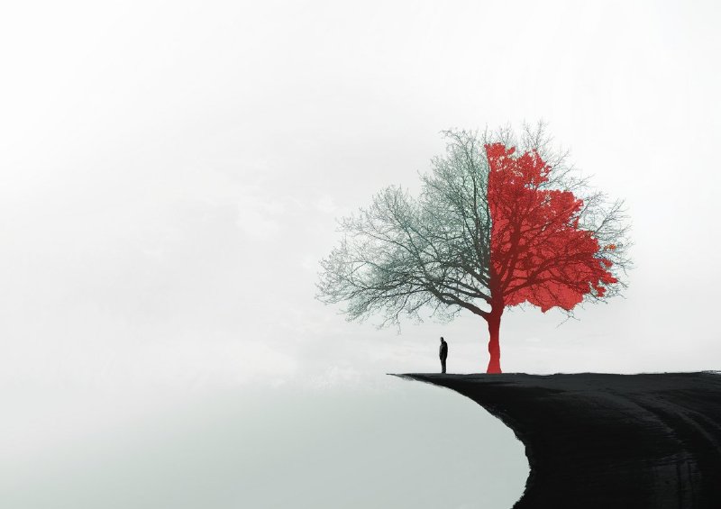 Stark contrast lonely tree on a cliff edge