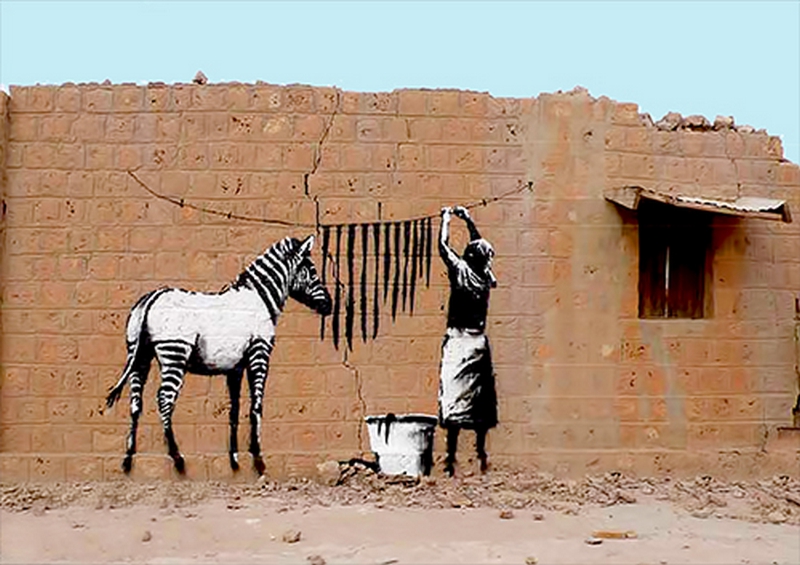 Zebra stripes washing