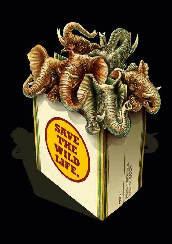 Save The Wildlife