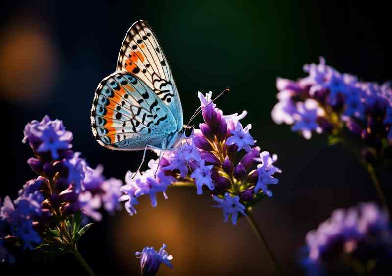 A Symphony of Color Butterflies and Purple Blossoms