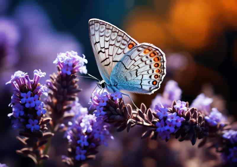 In Full Bloom Butterflies Resting on Purple Petals Metal Poster
