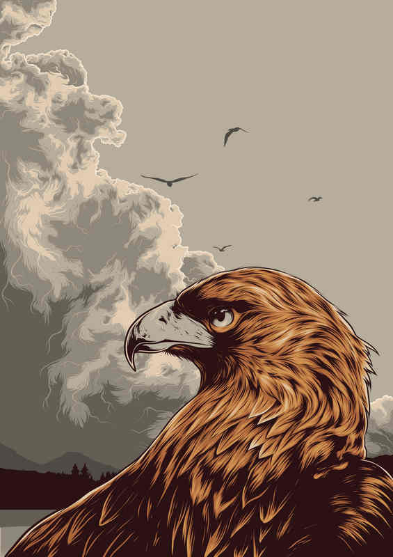 EagleHunter GreySkies