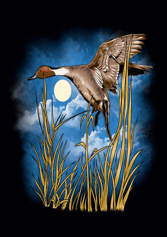 Flying Duck through the reeds