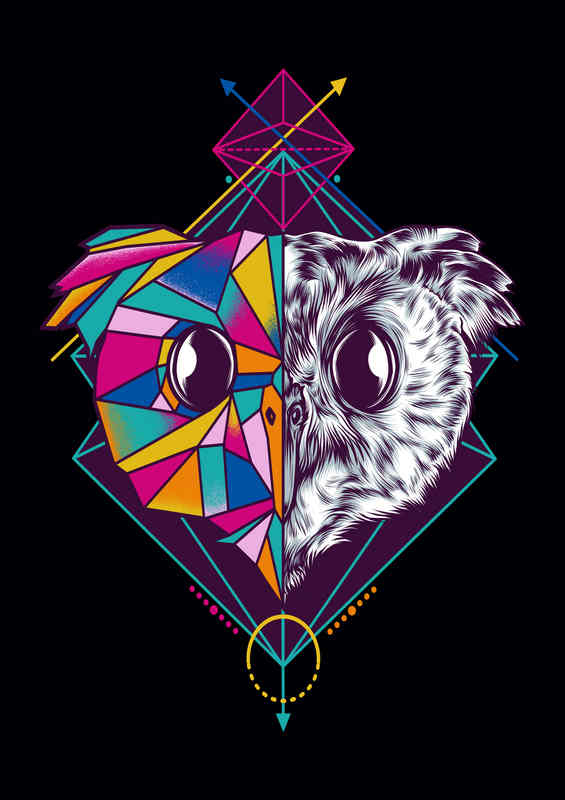 Geometric Owl