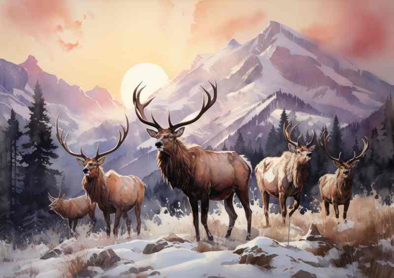 Elks on the mountain range with a rising sun
