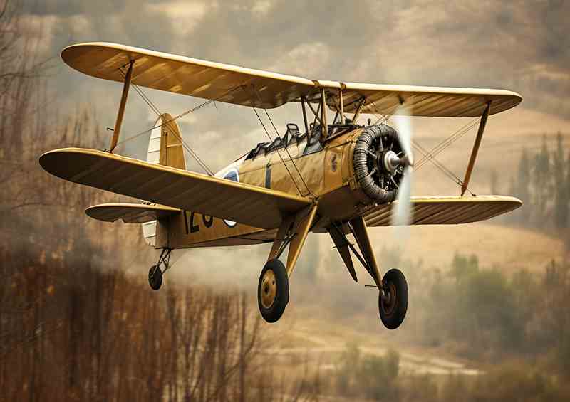 Lincon bi plane flying