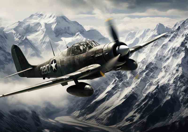 Famous French Mountain Aircraft Metal Poster