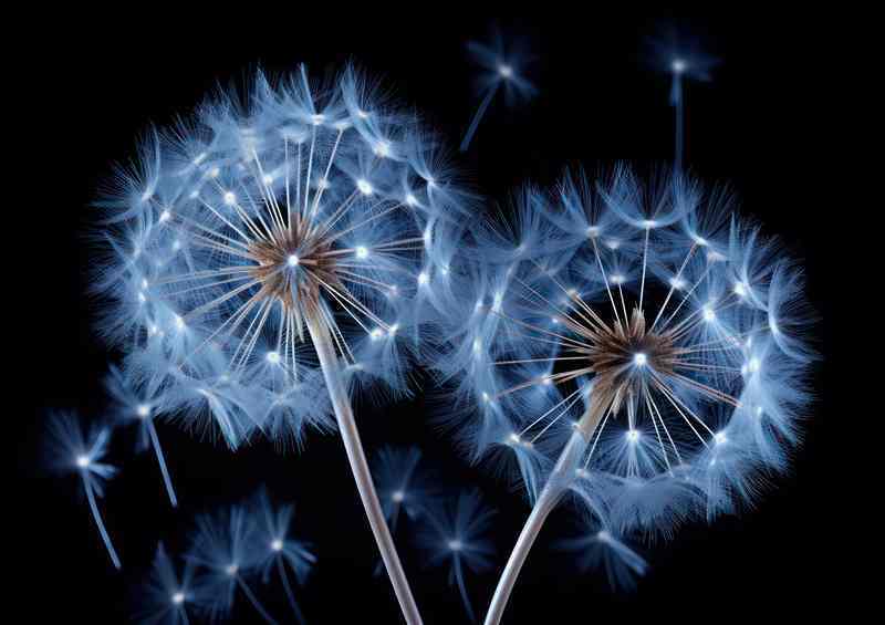 Breezy Dandelion Metal Poster