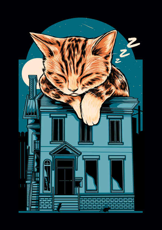 Cat Nap on the roof