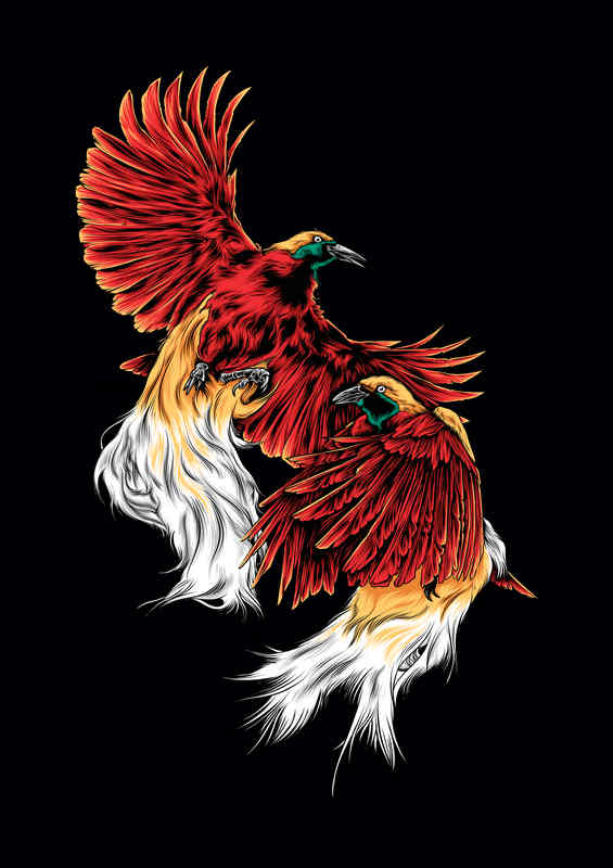 Cenderawasih Birds in flight