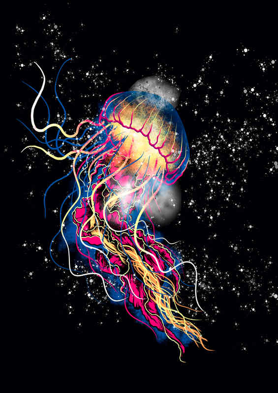 Jellyfish