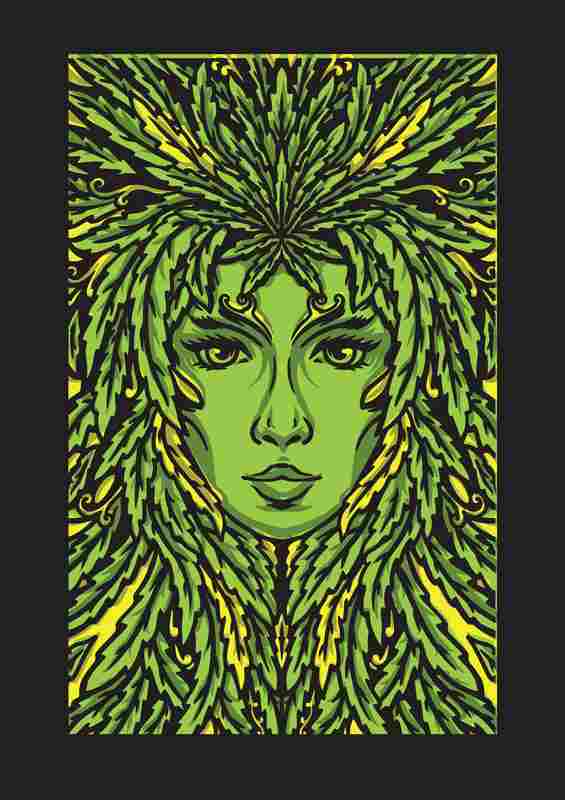 Lady oak tree