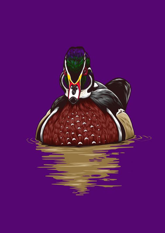 Mandrain Duck Purple Metal Poster