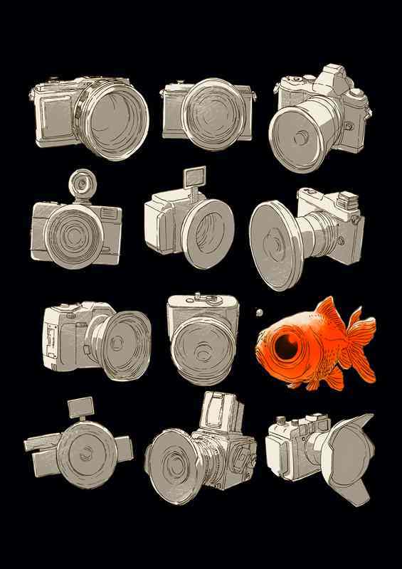 Fisheye Black