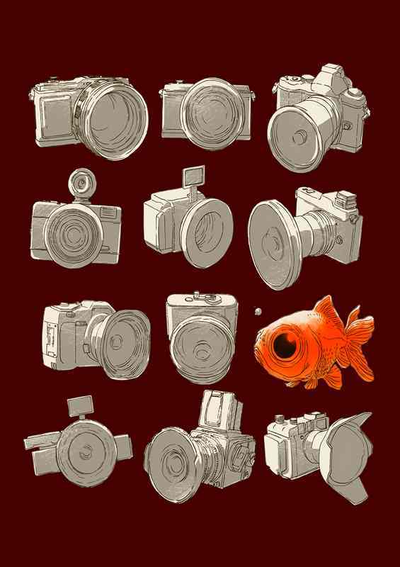 Fisheye Maroon