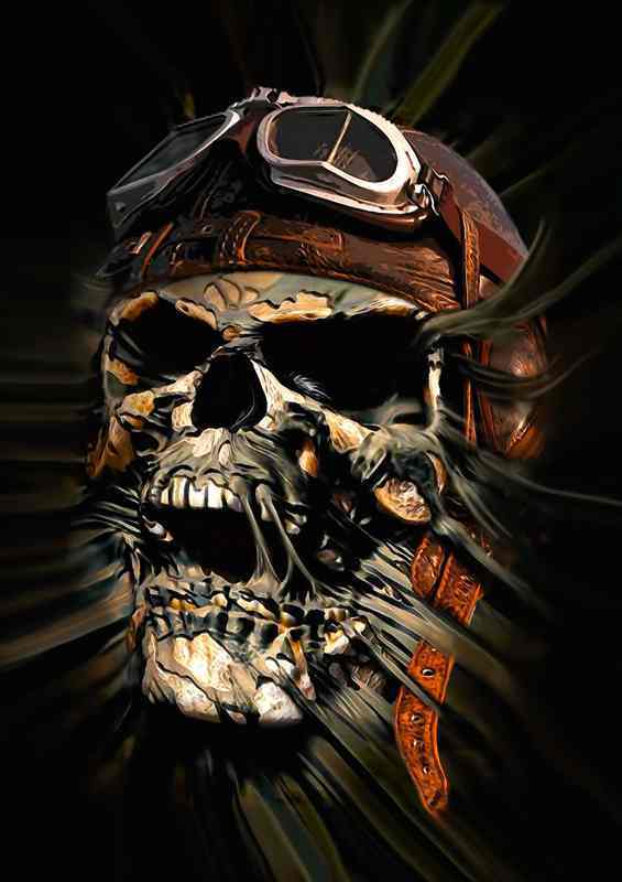 The Plane that never made it skull