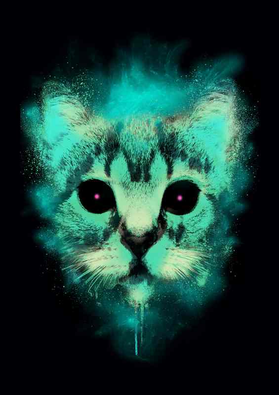 Cosmic cat