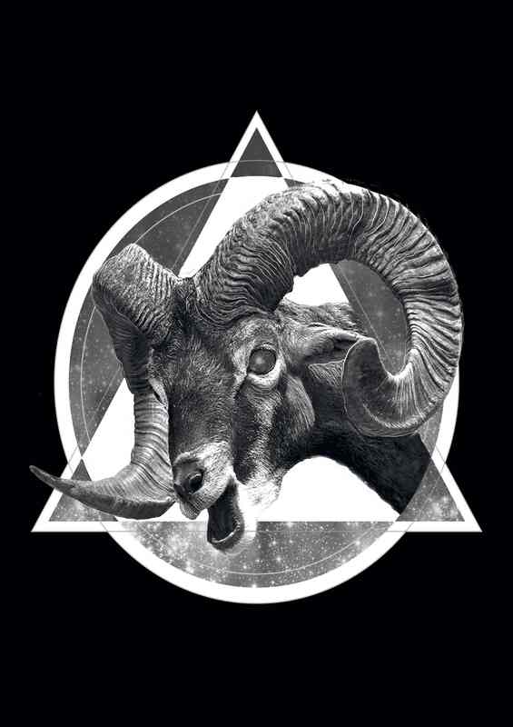 Horns and Space