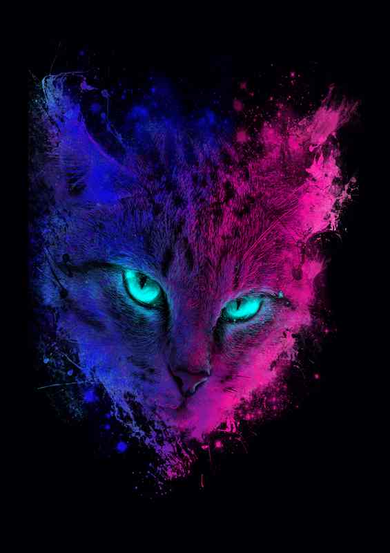Space gaze