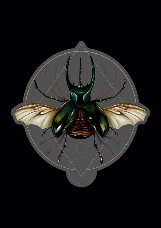 Vitruvian Beetle