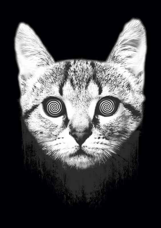 hypnotize