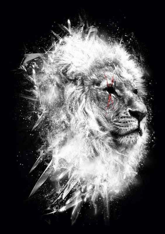 warrior soul