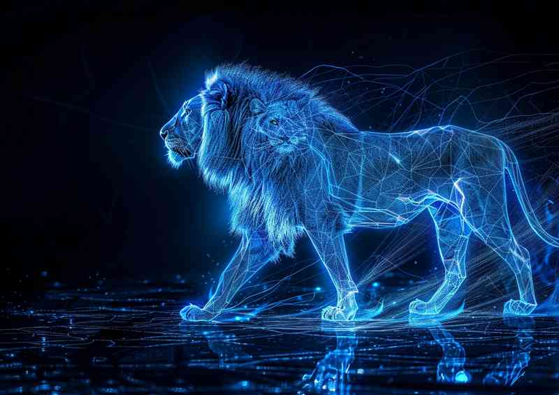 The blue majestic lion walking