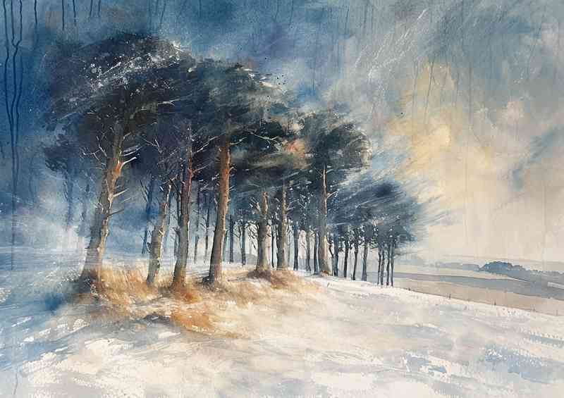 Winter snow in the woods